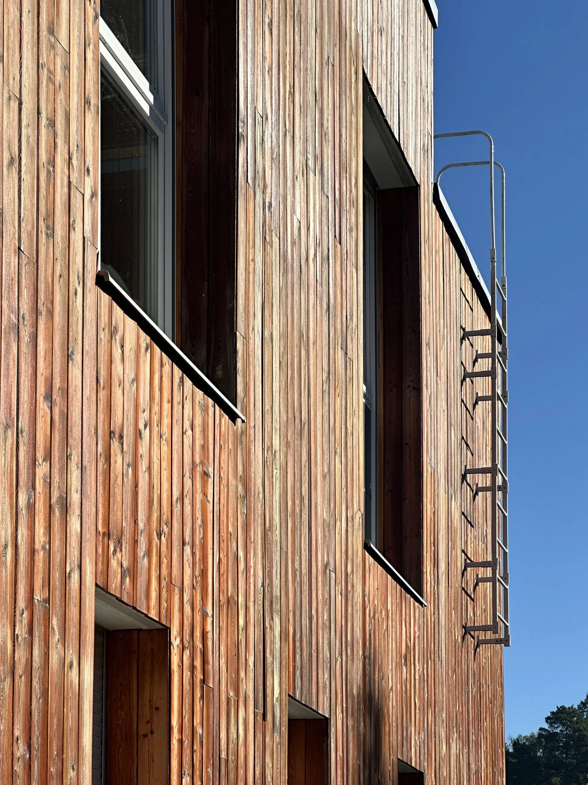Sunlit Verticality