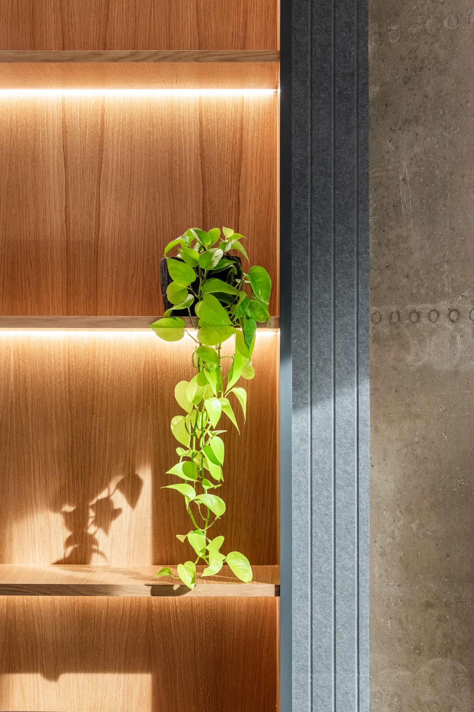 Illuminated shelf detail